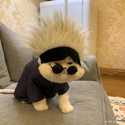 มะแง้ว แมวเซา😼さんのプロフィール画像