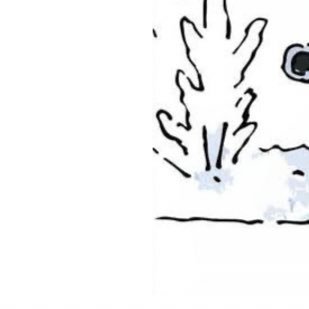 UxU22368323's profile picture. 20↑