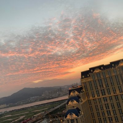 Stephan81446516's profile picture. 