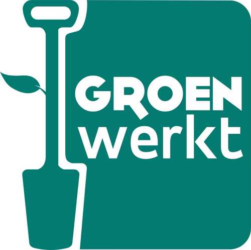 GroenTurnhout's profile picture. Groen gaat voor een warm en leefbaar Turnhout, duurzaamheid en sociale rechtvaardigheid, groen, politiek