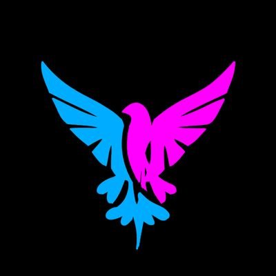 PhoenixVArts's profile picture. Visual stimulants for evolution.