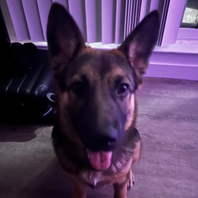 JuanQuezadas3's profile picture. Loser