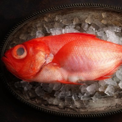 fgfw0001's profile picture. H