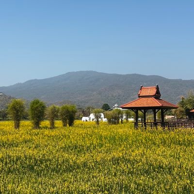 weixiaohui23's profile picture. 