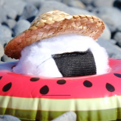 こたぽた🚑🌸🐚さんのプロフィール画像