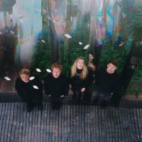 Shards (@shards_voices) 's Twitter Profile