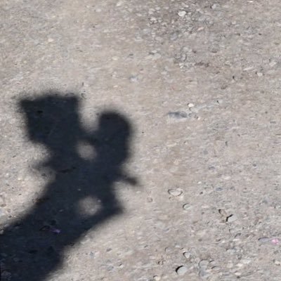 ろるさんのプロフィール画像