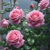 Vilma (@1965clavelvilma) Twitter profile photo Vilma (@1965clavelvilma) Twitter profile photo