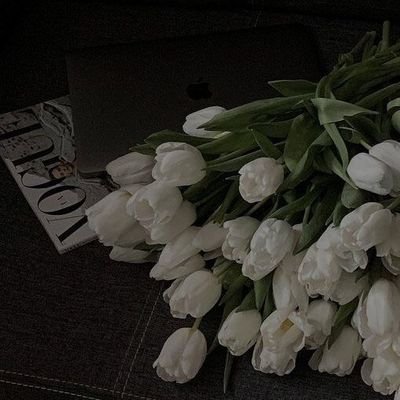 xcbae_'s profile picture. glimpses into my soul.