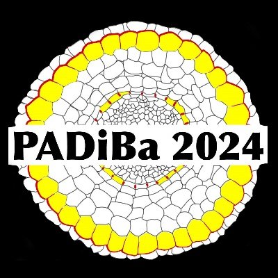 @PADiBa2024