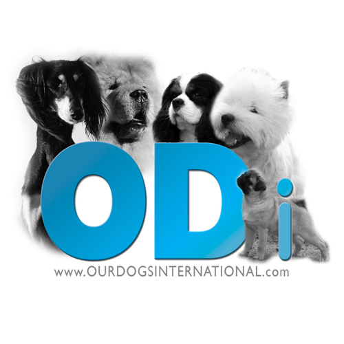 Our Dogs International is a freshly updated & exclusive website from 'Our Dogs Publishing' covering Pedigree Dog Shows in the UK, Europe & around the World!