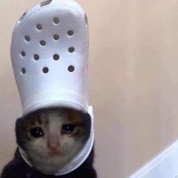 hilal (@monddschein) Twitter profile photo