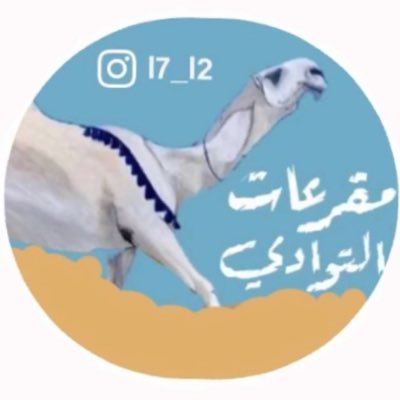 الحساب الرسمي لـ #مقرعات_التوادي - متخصص بما يتعلق بالإبل -وعرض فرديات الإبل - وتغطيات وأخبار اهل الإبل .🩵🏆🐪
