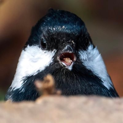 KingLee83564641's profile picture. 