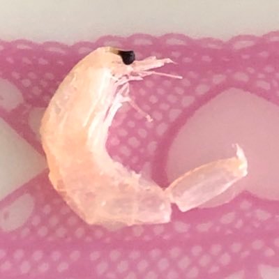 Emm3Emm3's profile picture. 独り言、愚痴りたい時に書いています。
