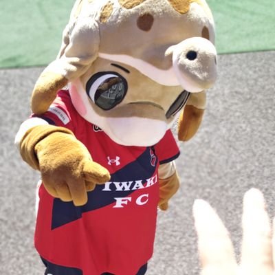 #いわきFC サポ⚽💪🔥#ハーマーアンドドリー 🦕❤
全力応援してます🚩🏁💚🚩🏁💜🚩🏁💚🏁
サポ関係垢への無言フォロー失礼いたします🙇♀️🙇♀️🙇♀️🙇♀️マスコット全般好きです🤗🤗