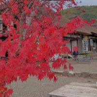 sunflower (@xbn5bjuhr881226) 's Twitter Profile