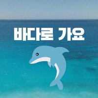 💙🐬바다로 가요🦁🩵(@nylove0309) 's Twitter Profile Photo