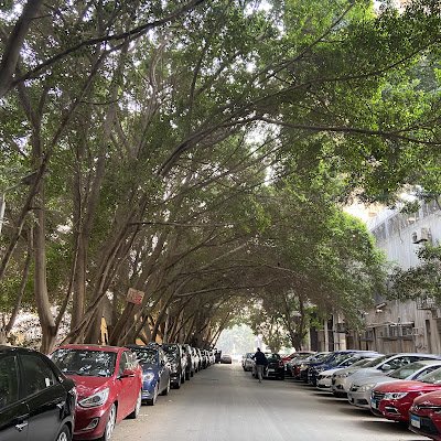 FathiLogai31151's profile picture. 