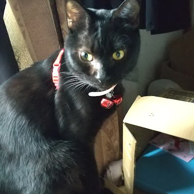 tai339085295260's profile picture. 