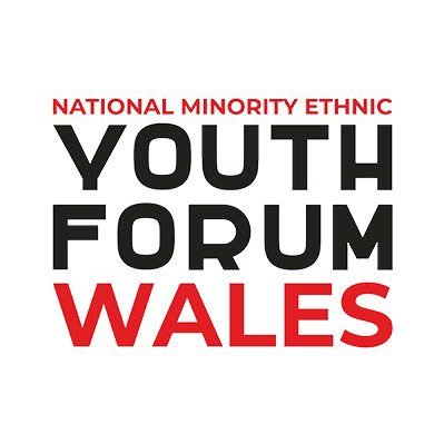 National BAME Youth Forum Wales was established by Race Council Cymru at the request of BAME young people in Wales aged 13yrs-30yrs. WE have a VOICE! WE USE IT