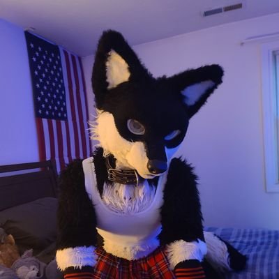 || Open AD of @Fusewolf. || 🔞 #NSFW 🔞 || #MURRSUITER ⬇️🔄😉  || 
Telegram @Fusewolf ||

💦Forever Tied to @BlueWoofAD 💦