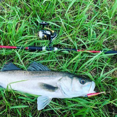 FiLE7fo6aI43819's profile picture. 