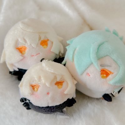 どこかのぬいたち Profile