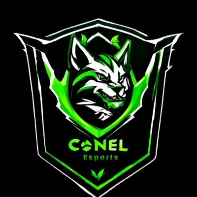 Join us on this thrilling journey as we conquer virtual battlefields and leave our mark on the esports scene. #RiseOfCONEL.
instagram: conel_esports