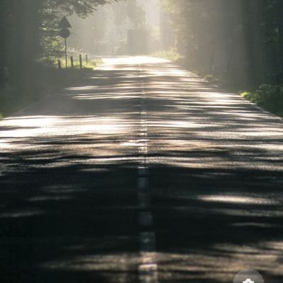 wngnh441295's profile picture. 