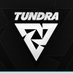 TUNDRA (@TundraEsports) Twitter profile photo