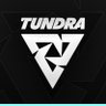 TundraEsports's profile picture. Official page of Tundra Esports | TI11 Champions 🏆 #TundraTribe