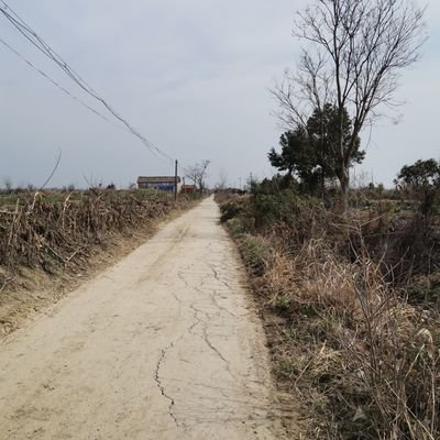 futurewei5's profile picture. 一壶浊酒喜相逢