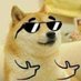 The Dogeilante (@dogeilante) Twitter profile photo