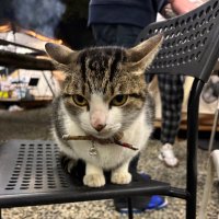 哞吉 (@huang_0306) 's Twitter Profile