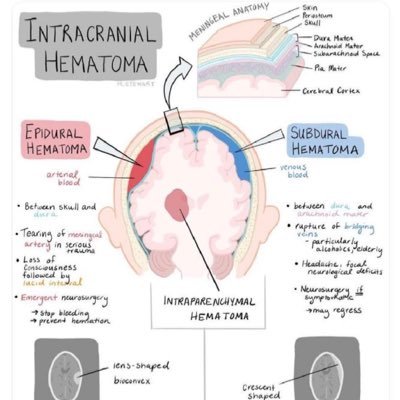 Doc_Moore_Sani's profile picture. Be Your Own Self.