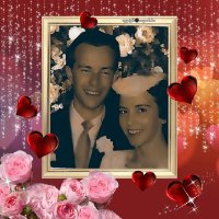 Mrs C 🚜 🦊🦍🐧🦙🙋🏼‍♀️😃 (@lovesfoxes444) 's Twitter Profile Photo