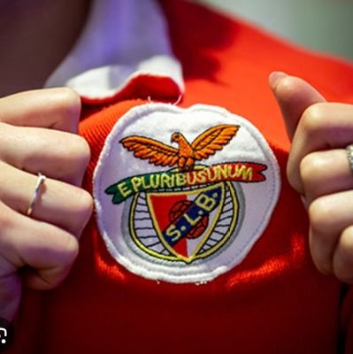 ▪︎Mercado de transferências
▪︎Análise a todos os jogos
▪︎Tudo sobre o Sport Lisboa e Benfica