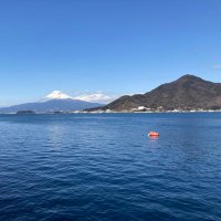 0024 (@takoikanumazu) Twitter profile photo