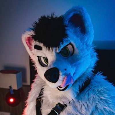 Just a horny white derp 🐺. Here to like and retweet all your kinky content! 💦 may do some audio stuff as well. AD/Male/Pansexual/30+/explicit content/