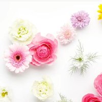 とべちゃん♡LIL (@liltobe378203) 's Twitter Profile