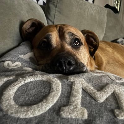 super_0_hero's profile picture. #rebellion is stupid if you shill for the establishment