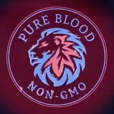 PapaJim00's profile picture. God first, Patriot, Army Vet.. Against All Enemies. 🇺🇸 This we will defend. Constitutional Conservative. Pureblood.  Truther! #MAGA