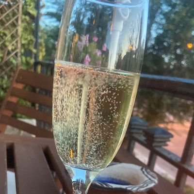 Pedromorenopon1's profile picture. Yo