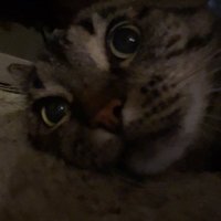 mas (@mayse1111111111) 's Twitter Profile