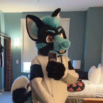 Lux / He / They || 18 y/o puppyboy || 🇪🇨🇵🇭🇨🇳🇯🇵 || single, not looking || @lemonbrat Fursuiter