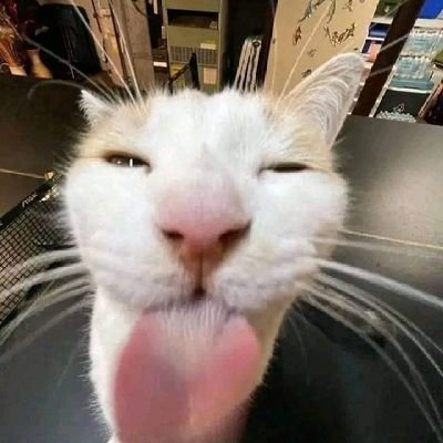 sourkitty04's profile picture. horny & angry