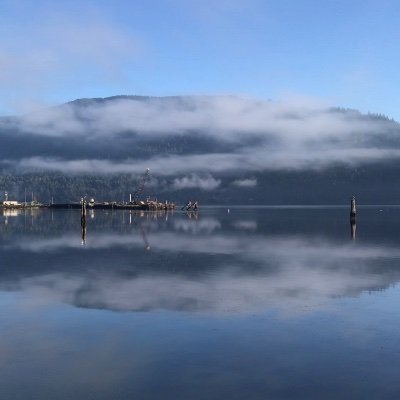 HIMorningcircle's profile picture. 