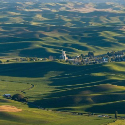 cinic10566's profile picture. 