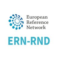 @ERN_RND š§ (@ern_rnd) 's Twitter Profile